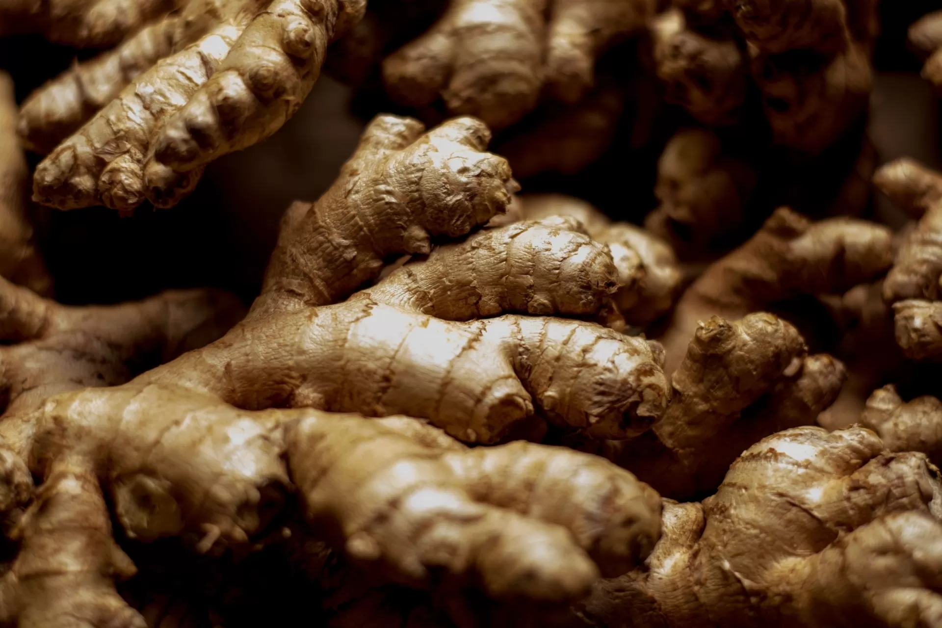 Cl&eacute; de Peau Beaut&eacute; Eye Contour Cream Supreme chiết xuất gừng lempuyang