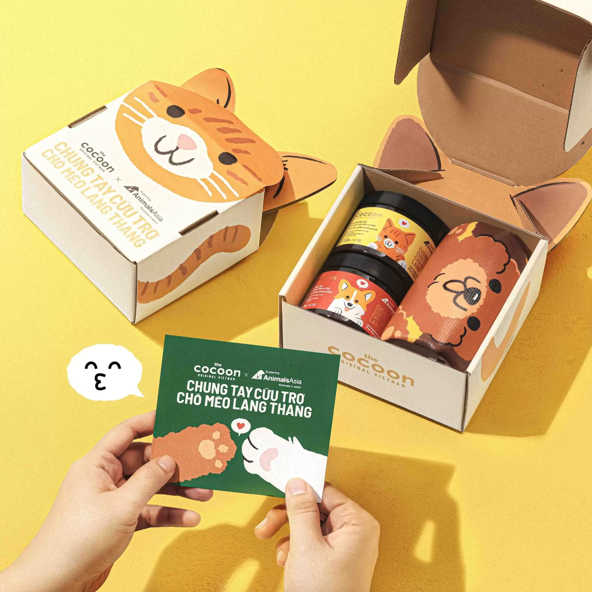 Cocoon cứu trợ ch&oacute; m&egrave;o lang thang